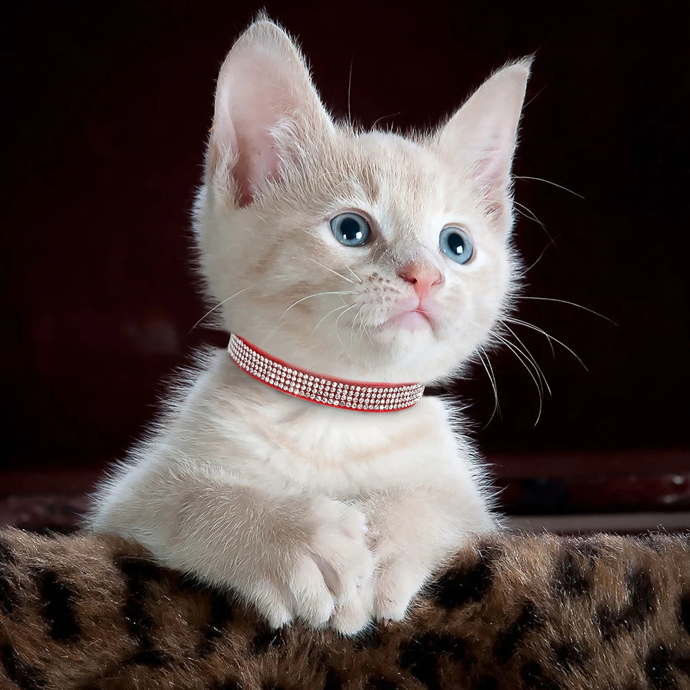 Rhinestones Adjustable Soft Suede Leather Cat Collar