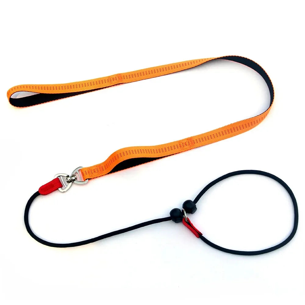150cm Adjustable Reflective Nylon Slip Lead with P Chain Collar Leash