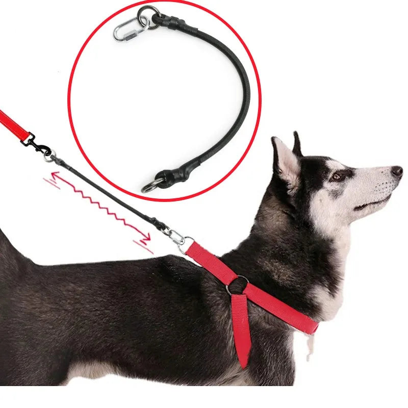 Durable Rope 45cm Elastic Extension Dog Leash