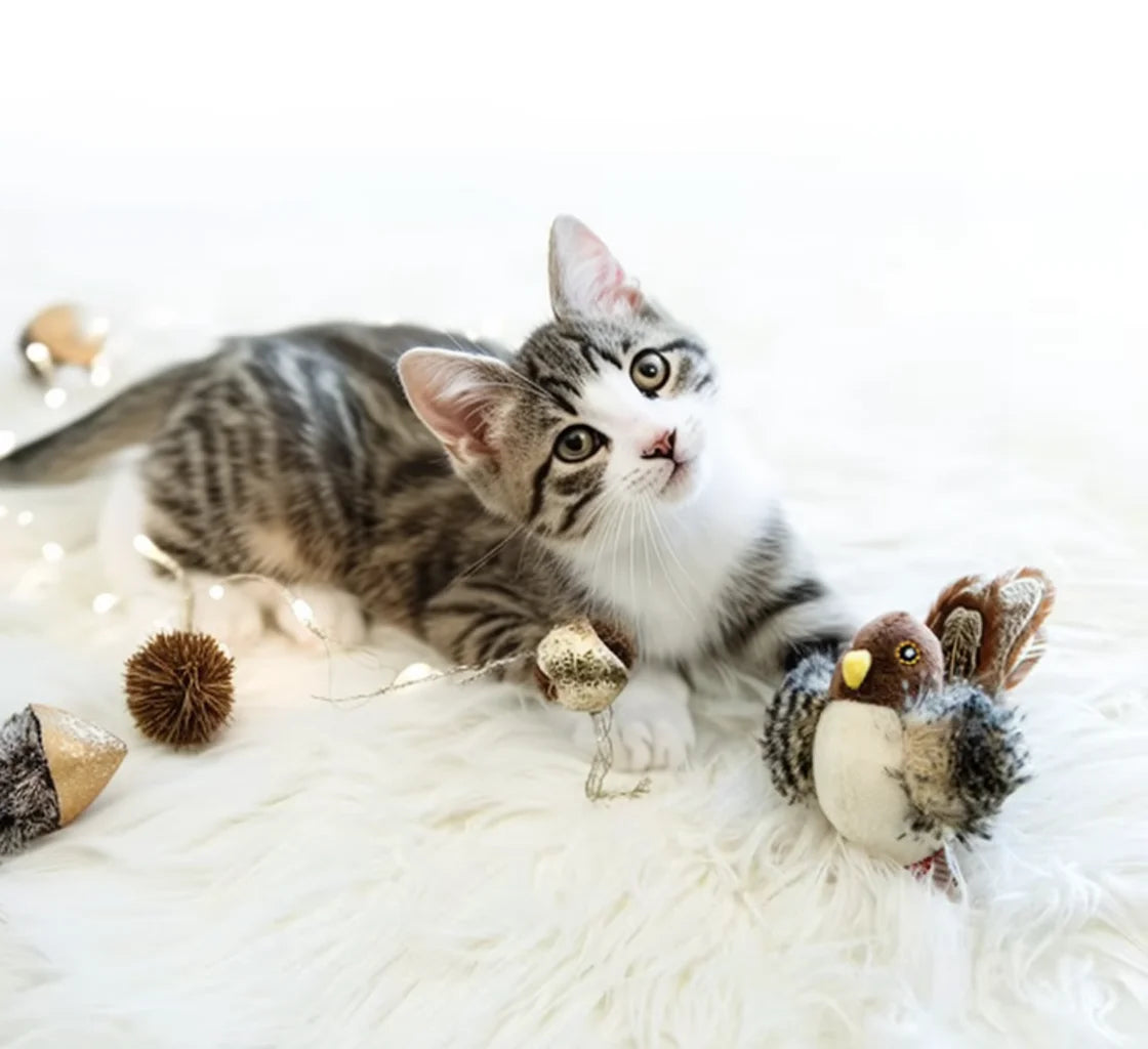 Electric Cat Toy Squeaky Plush Bird with Feather & Catnip