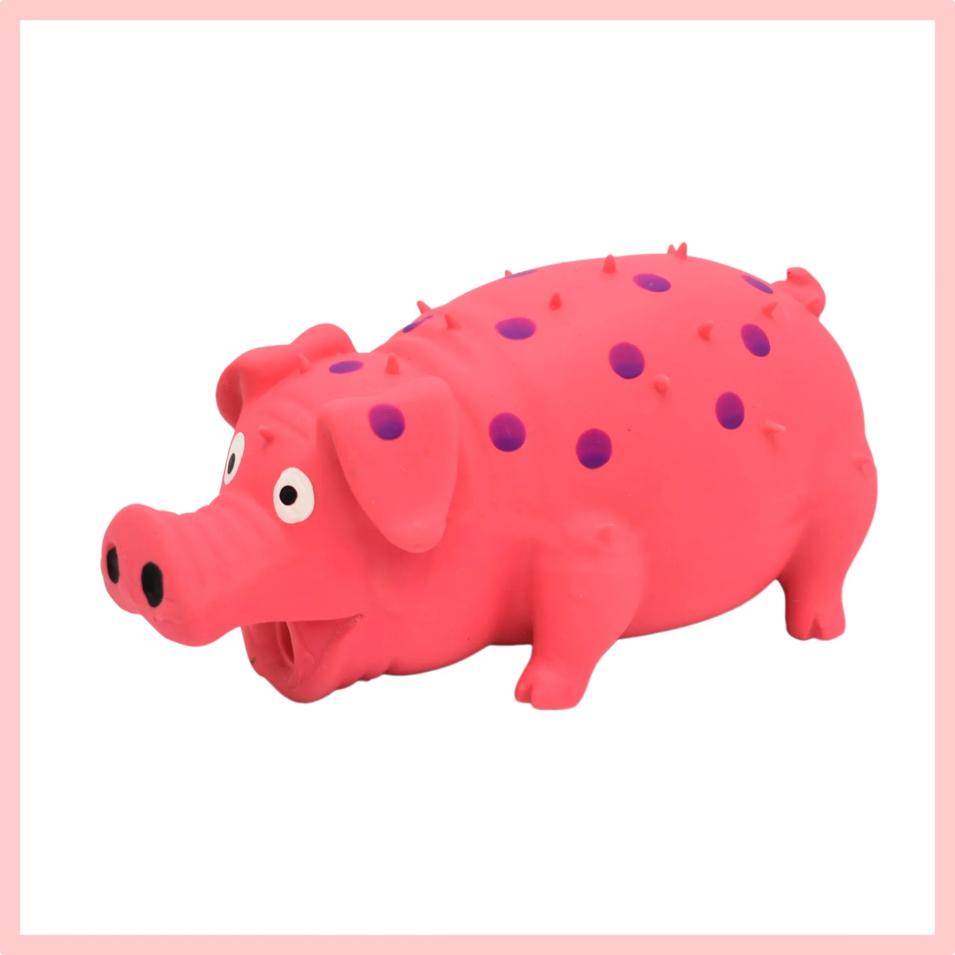 Squeaky Piggy Toy Bite-Resistant Chew Toy for Dogs & Puppies