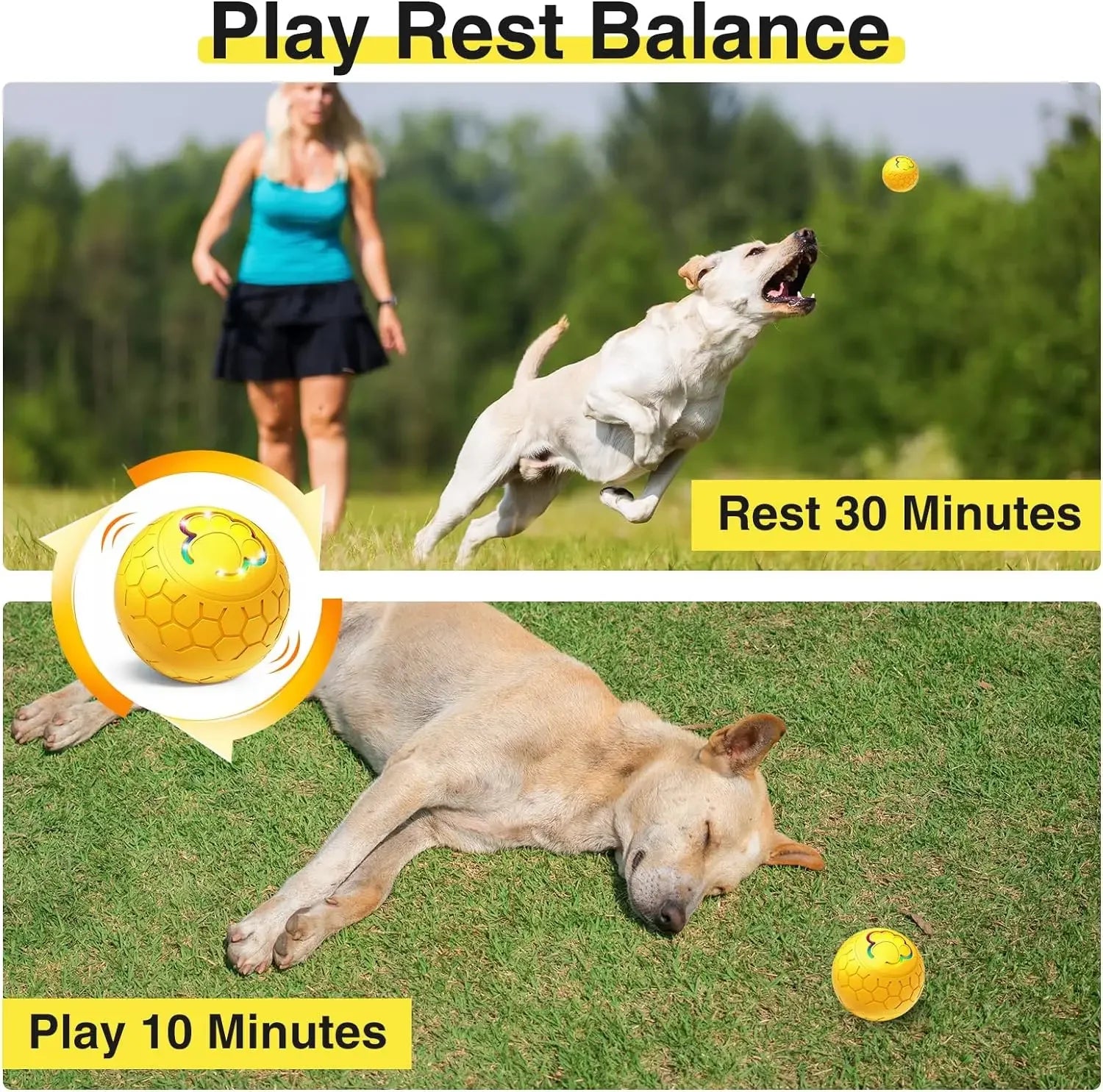 Interactive Smart Rolling Ball Electric Toy for Dogs & Puppies