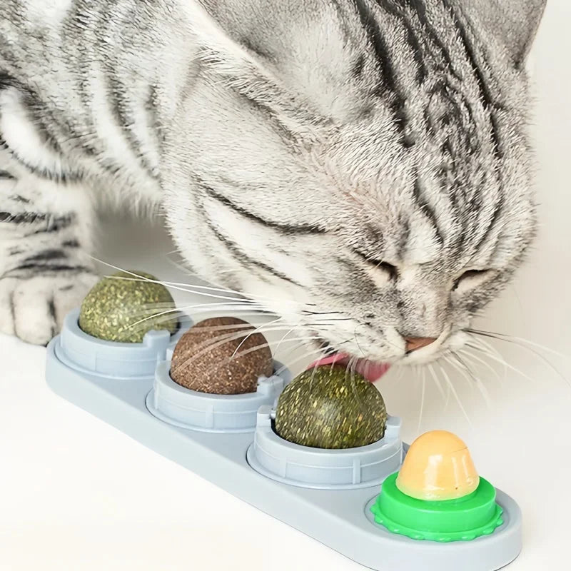 4-in-1 Catnip Toy Lickable, Chew, Teeth Cleaning & Digestion for Kittens