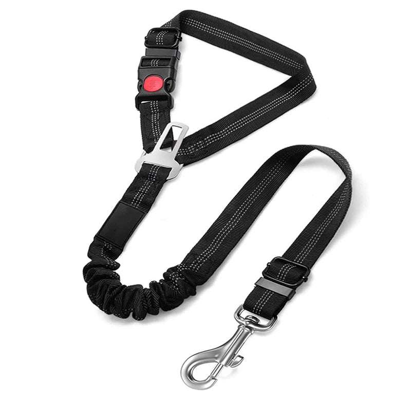 Multi-Functional Dog Leash with Car Safety Buckle