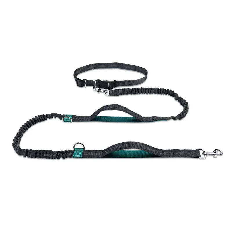 Extendable Pet Leash Dual Head with LED Light for Dogs & Cats