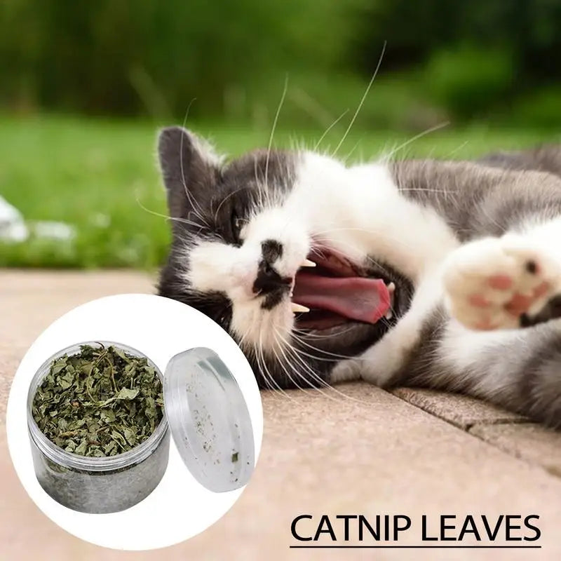 Natural Hairball Remedy Organic Catnip Supplement