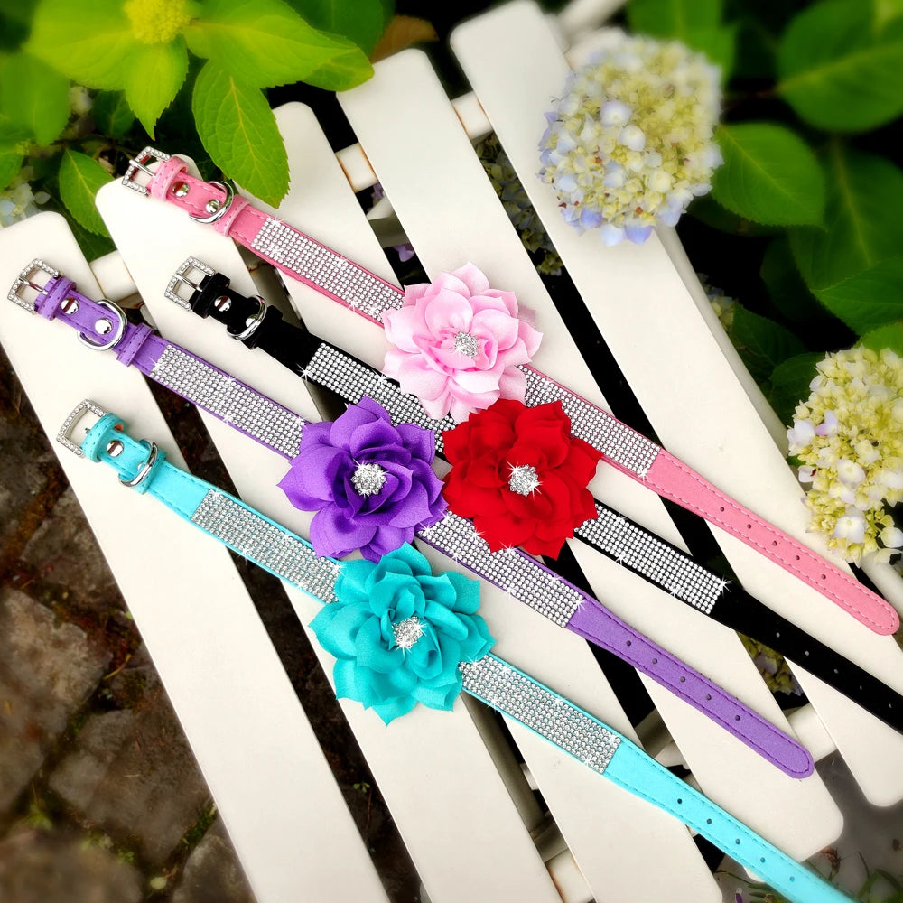 Glitter Rhinestone Leather Dog Collar with Floral Design & 120cm Leash
