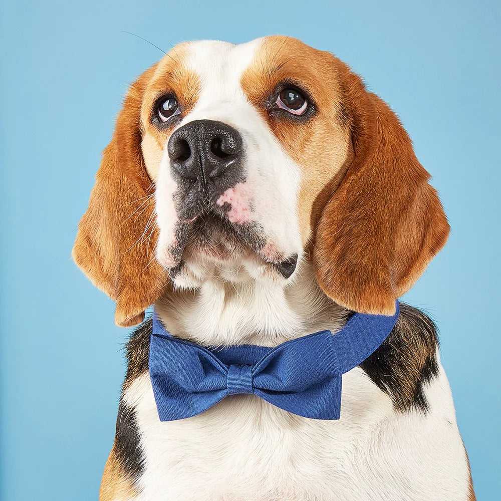 Adjustable Formal Necktie Pet Tuxedo Bow Tie Collar