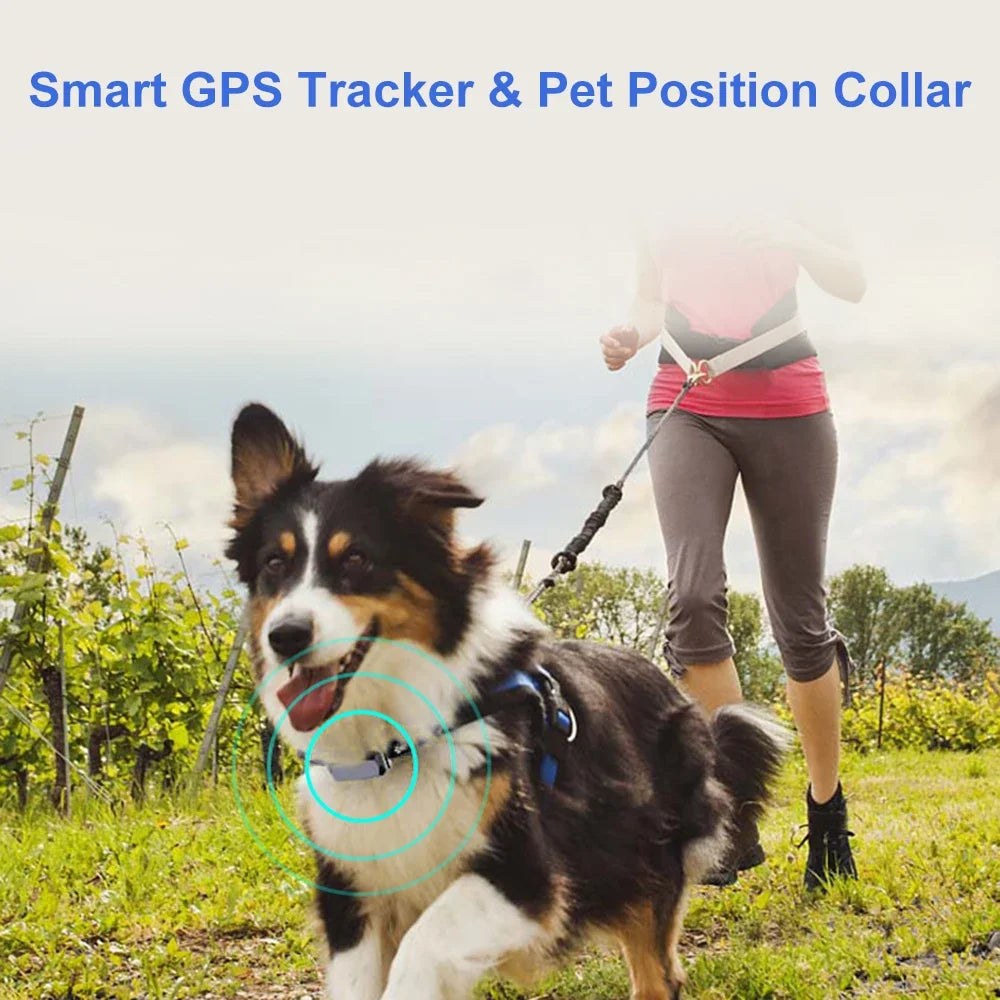 Smart GPS Pet Tracker IP67 Collar with Geo-Fence & SOS Alarm