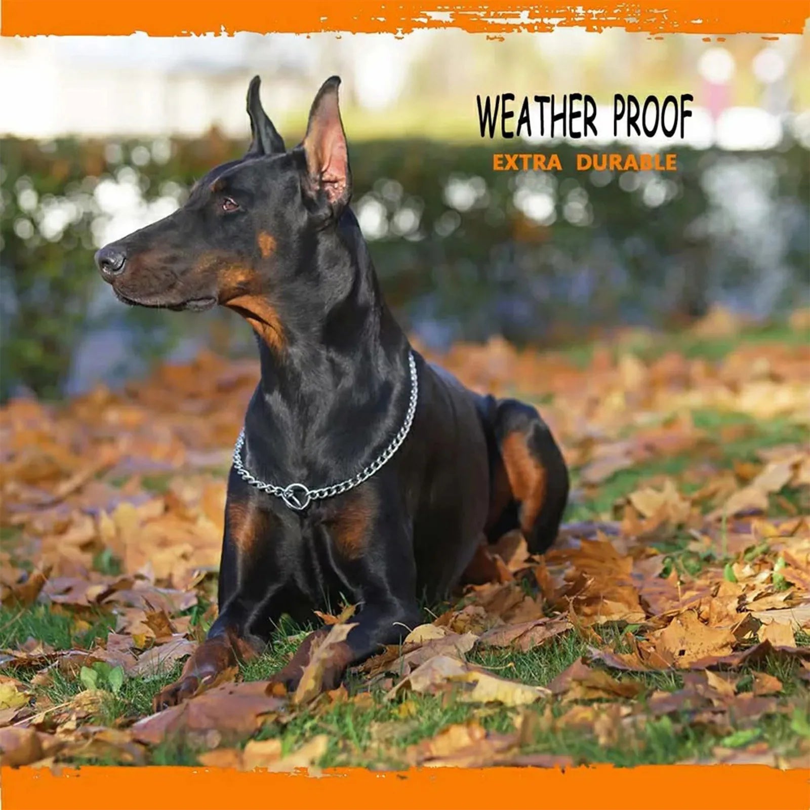 Heavy-Duty Metal Dog Training Choke Chain Collar