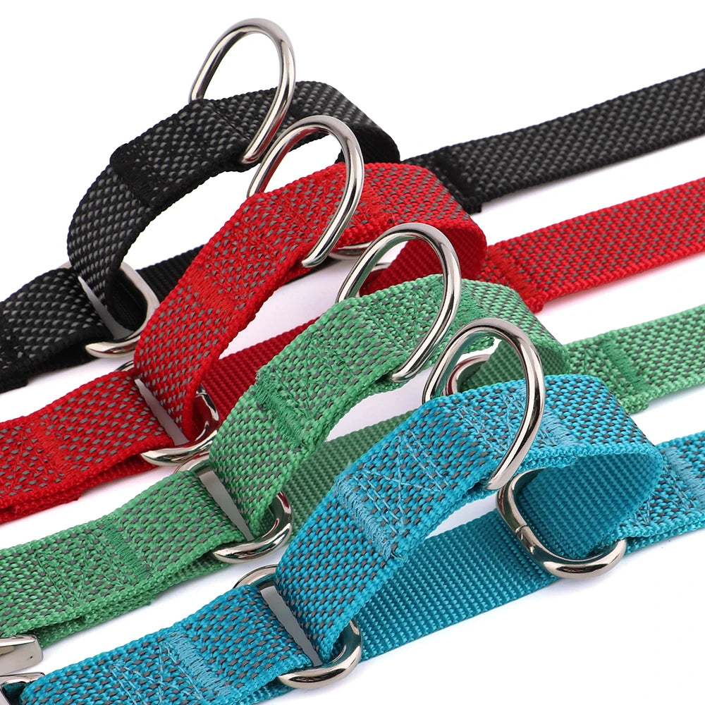 Engraved Metal Custom Reflective Martingale Dog Collar