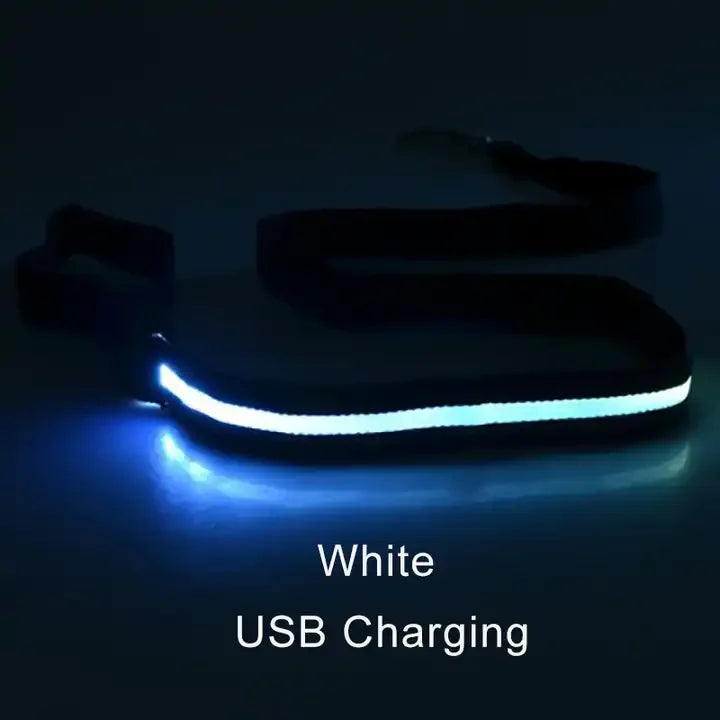Luminous Flashing Rope Lead LED Light-Up Dog Leash