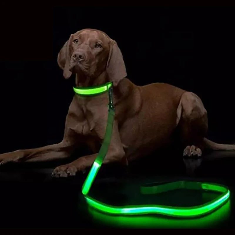 Luminous Flashing Rope Lead LED Light-Up Dog Leash