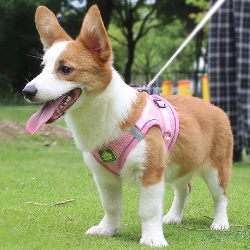 Reflective Pet Harness & Leash Set No-Pull Vest with Breathable Mesh