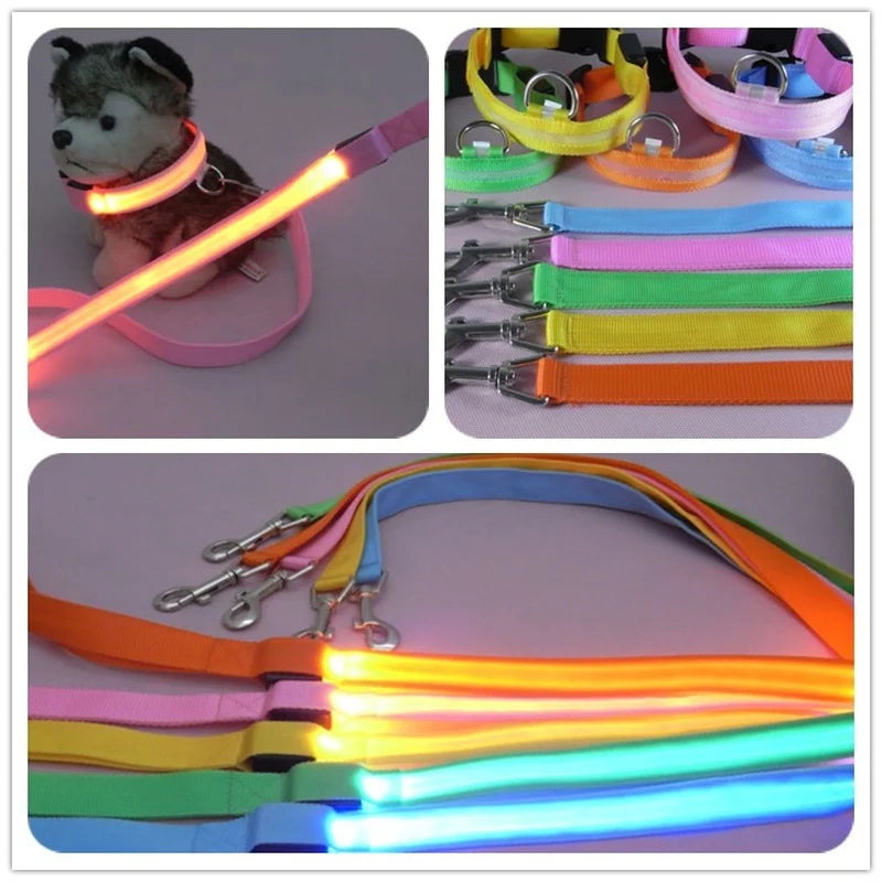Luminous Flashing Rope Lead LED Light-Up Dog Leash