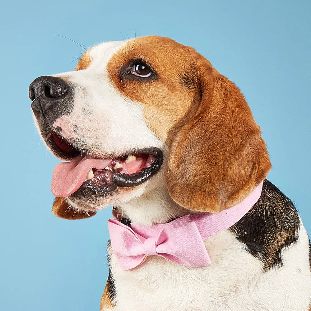 Adjustable Formal Necktie Pet Tuxedo Bow Tie Collar