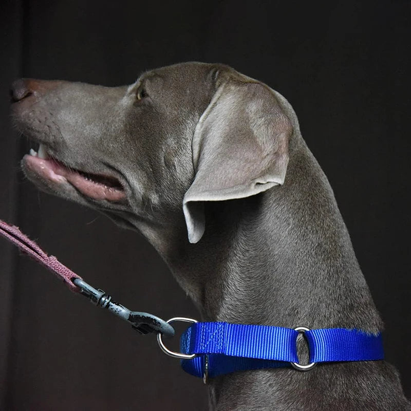Adjustable Nylon Training Heavy-Duty Martingale Dog Collar