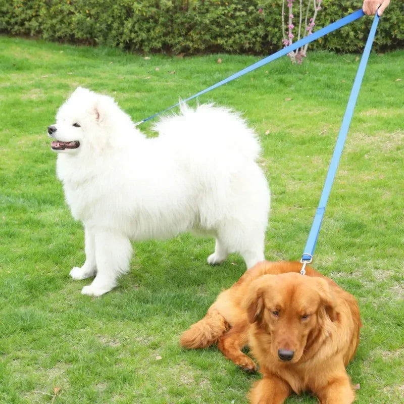 2.5cm Police-Style Training Nylon Hands-Free Dog Leash