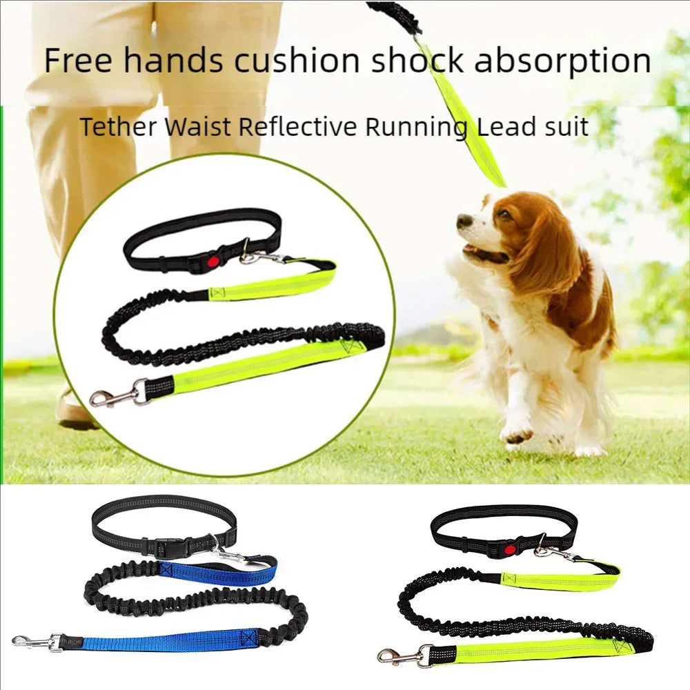 Elastic Running Belt with Metal D-Ring Hands-Free Reflective Dog Leash
