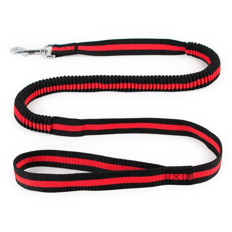 Adjustable Reflective Neoprene Padded Dog Collar