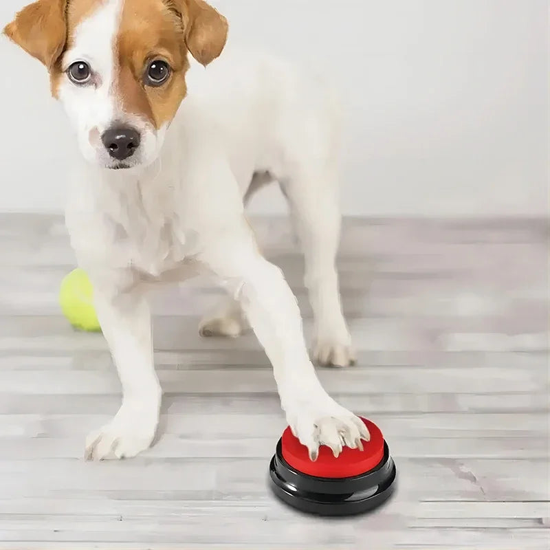Dog Talking Button Record Your Voice, Train & Play Anywhere