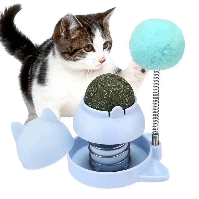 Natural Catnip Wall Ball Rotatable Toy for Treats & Teeth Cleaning