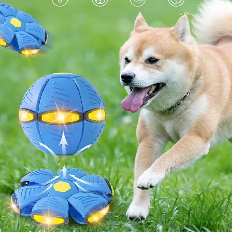 Interactive Dog Disc Toy Light-Up Flying Saucer for Outdoor Play