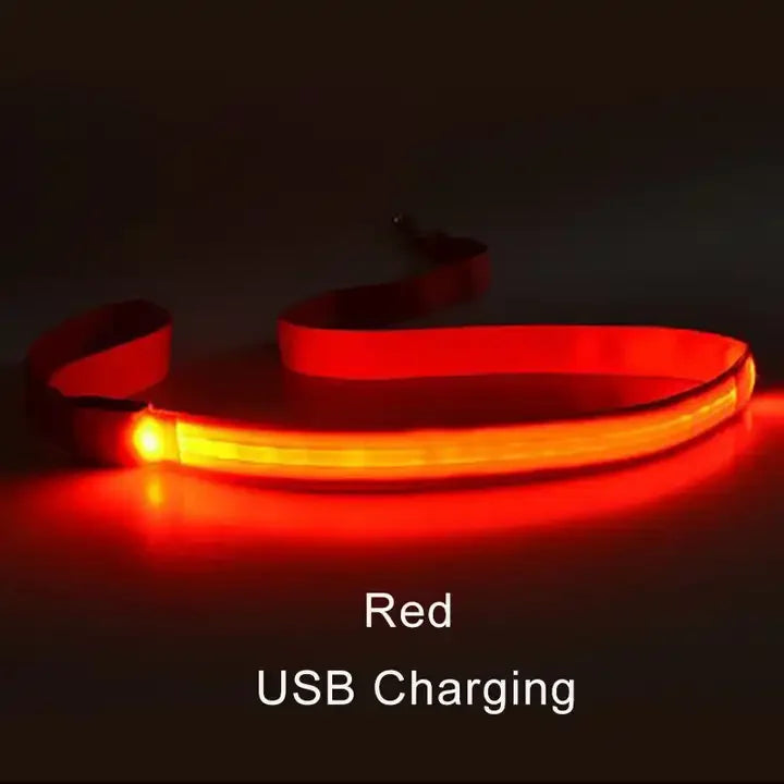 Luminous Flashing Rope Lead LED Light-Up Dog Leash