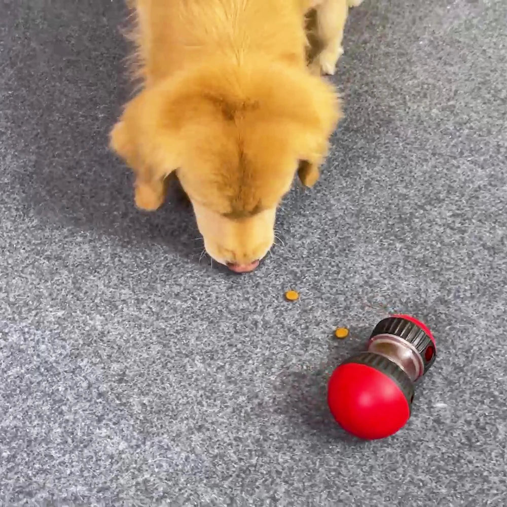 IQ Training Slow Feeder Toy For Small to Large Dogs & Cats