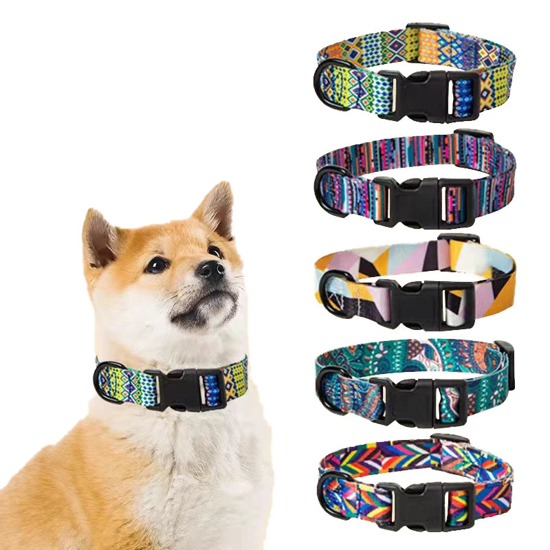 Adjustable Pet Walking Bohemian Style Dog & Cat Collar