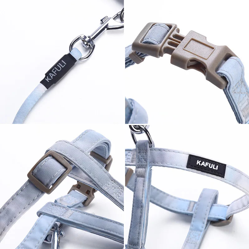 Adjustable Gradient Color Cat Leash and Harness Set