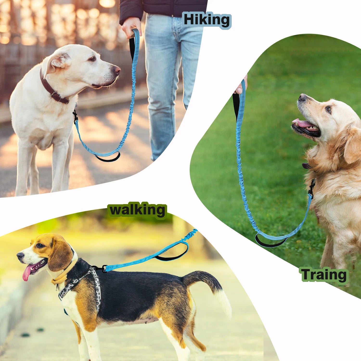 Shock Absorption and 2 Padded Handles Heavy Duty Bungee Dog Leash