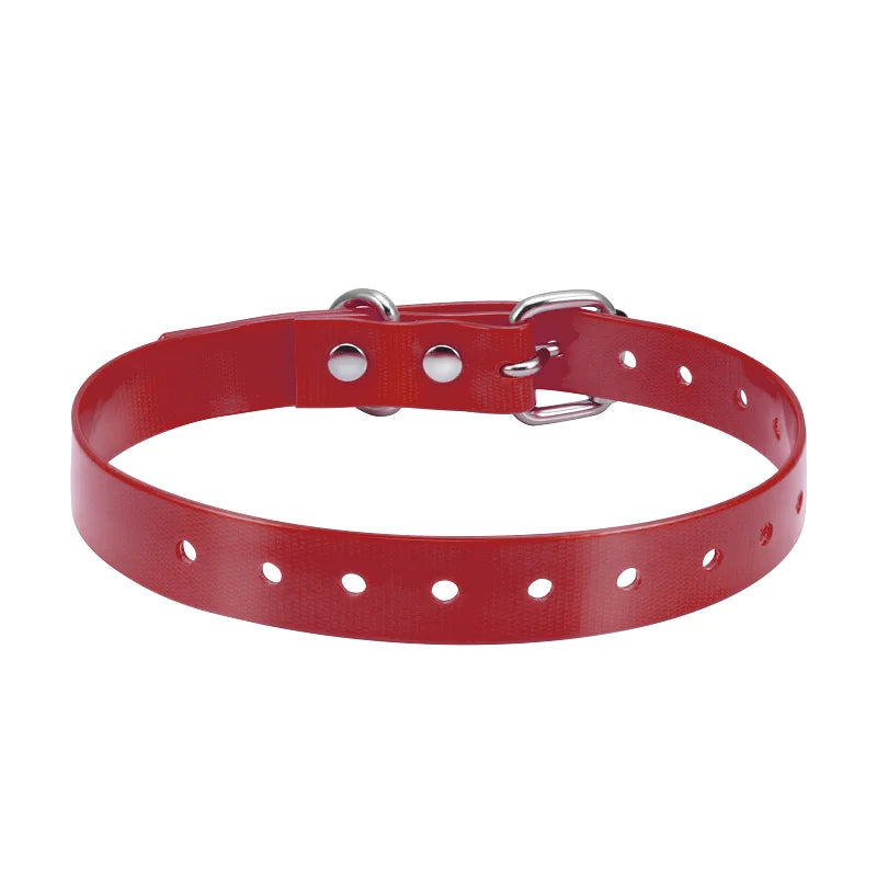 Fashion Necklace Style Personalized Dog & Cat Collar