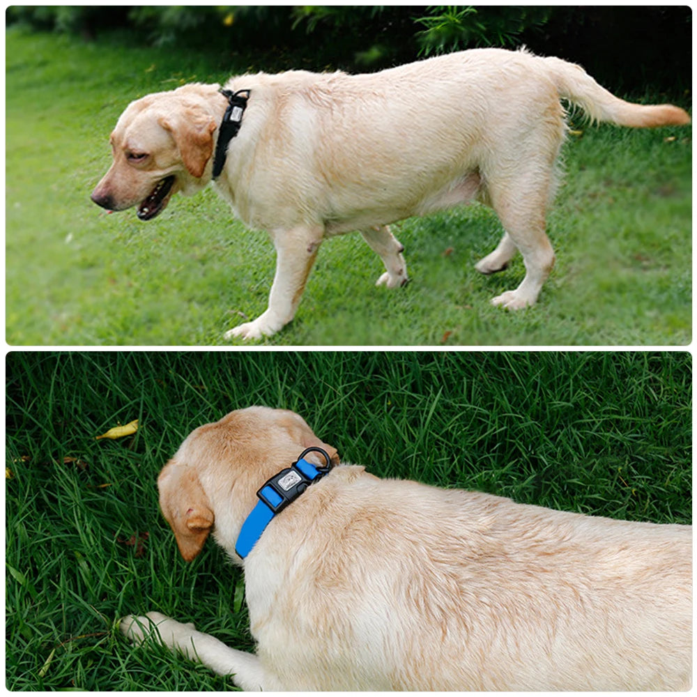 Adjustable PVC Waterproof Dog Collar