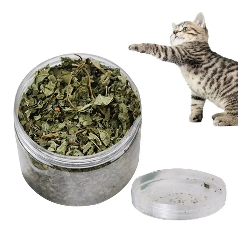 Natural Hairball Remedy Organic Catnip Supplement