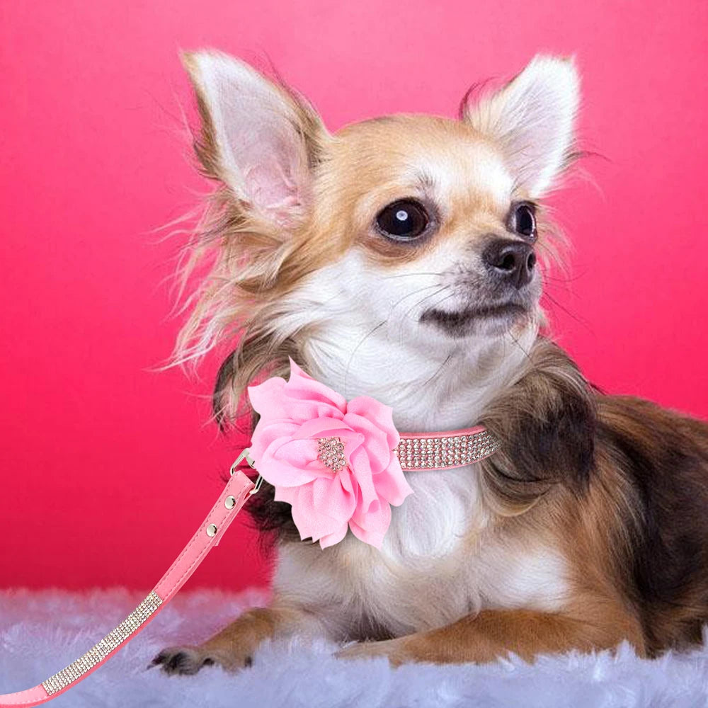 Glitter Rhinestone Leather Dog Collar with Floral Design & 120cm Leash