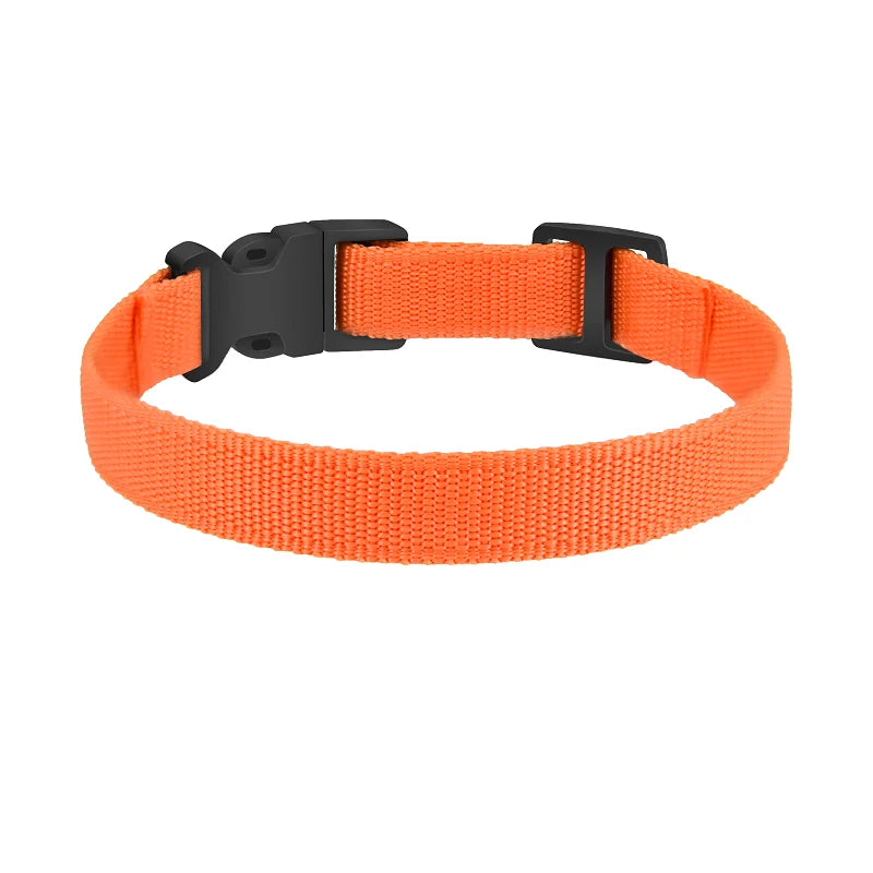 Fashion Necklace Style Personalized Dog & Cat Collar
