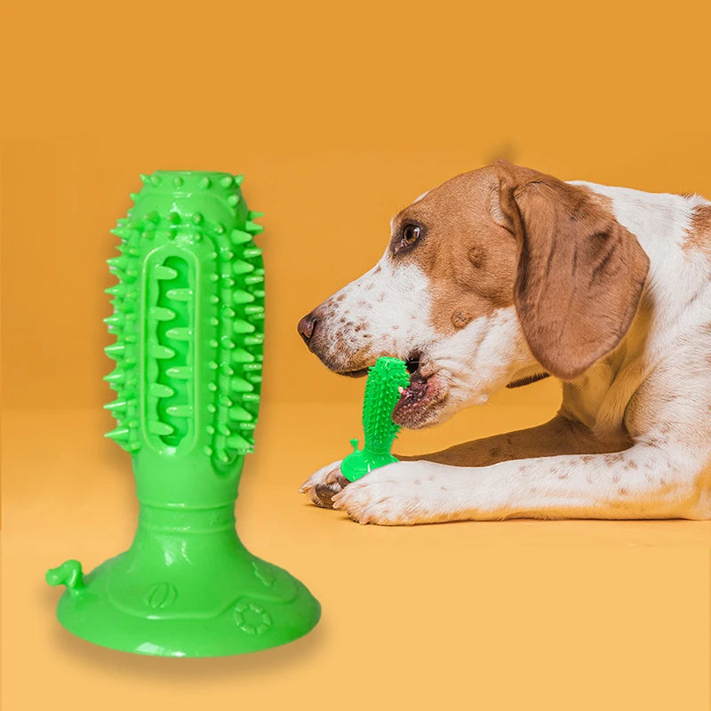 Squeaky Dog Chew Toy Durable Rubber Toothbrush for Aggressive Chewers