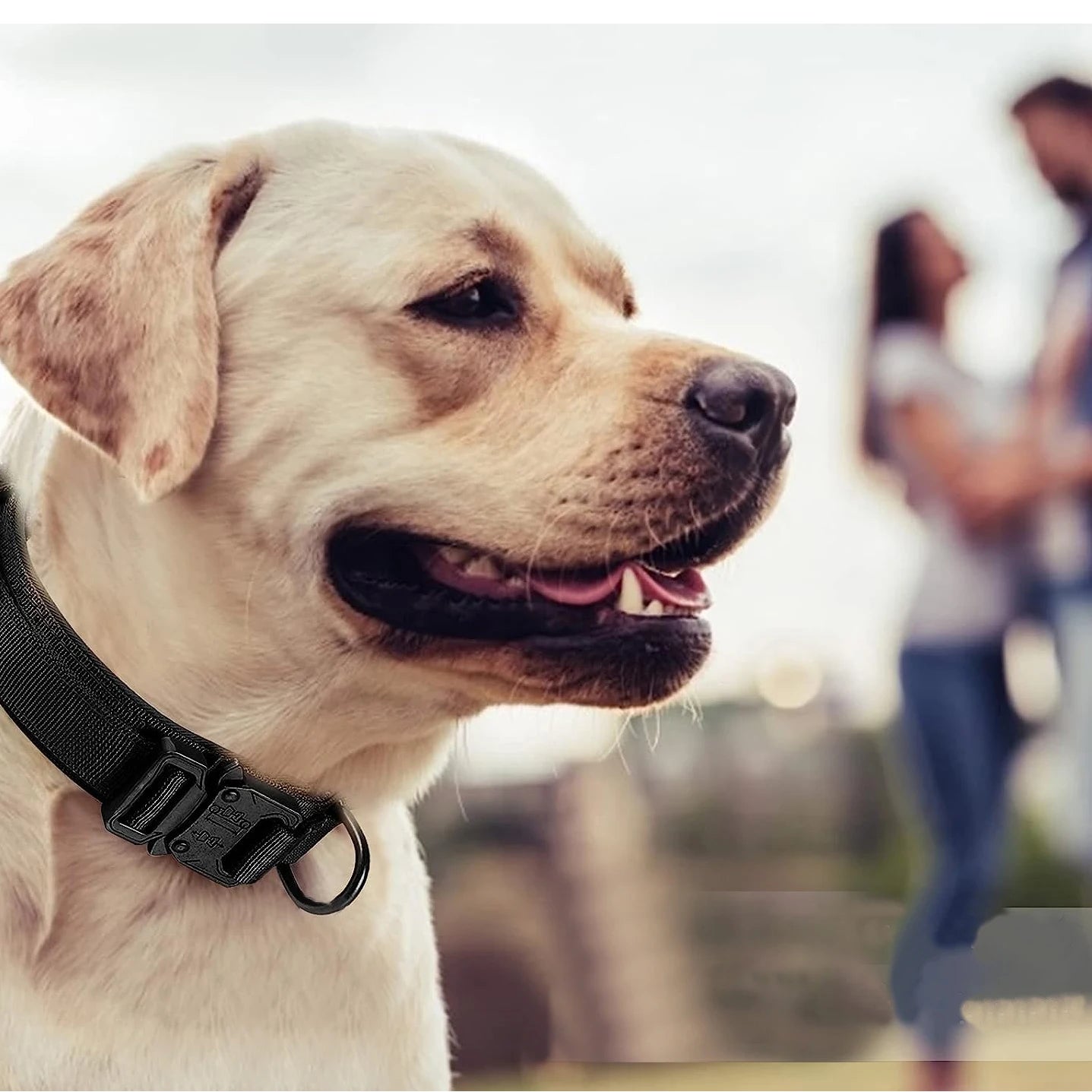 Adjustable Heavy-Duty Nylon Tactical Military Dog Collar
