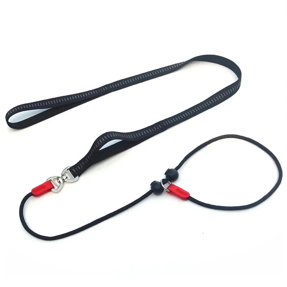 150cm Adjustable Reflective Nylon Slip Lead with P Chain Collar Leash