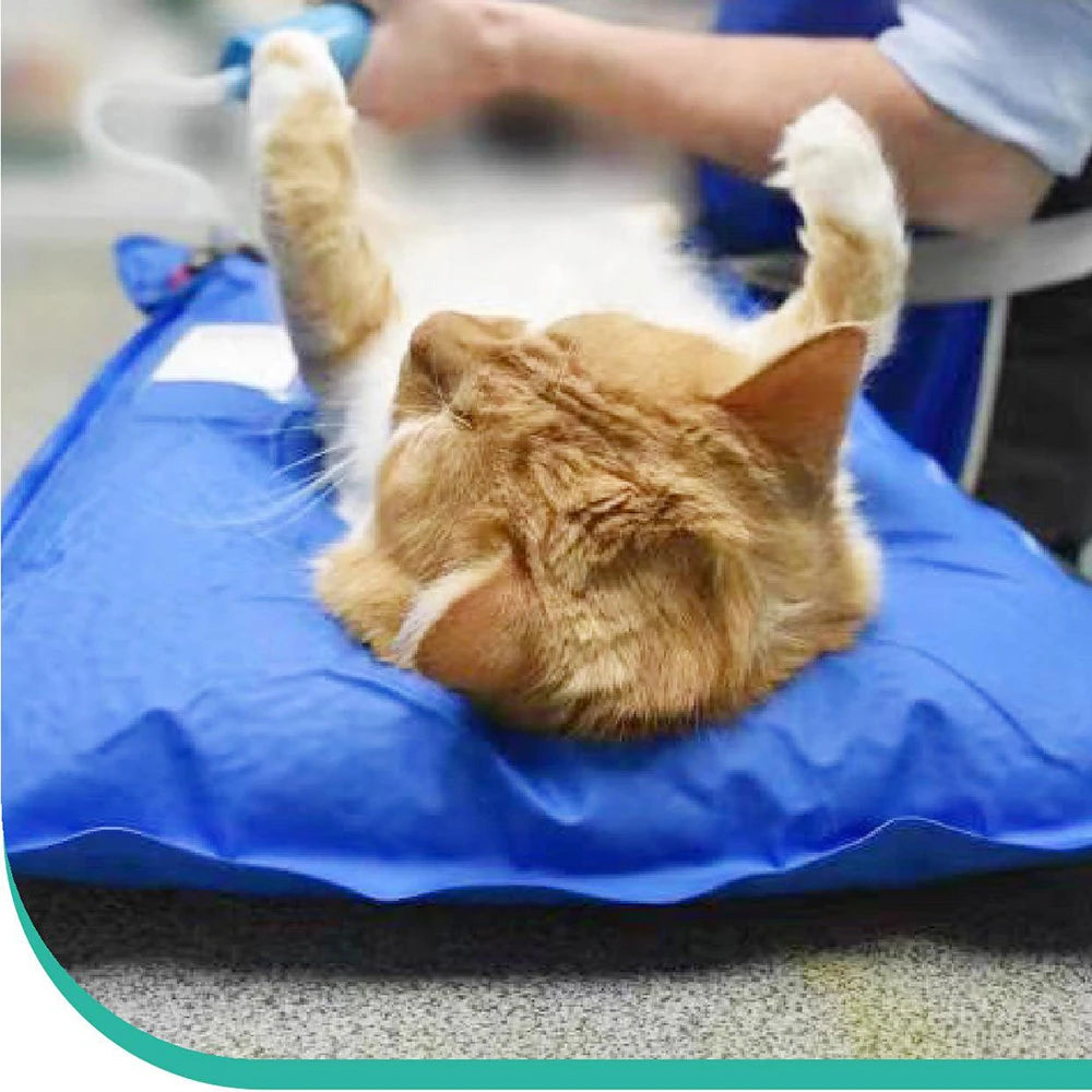 Pet Vacuum Positioning Mat Surgical & Exam Pad for Small Animals