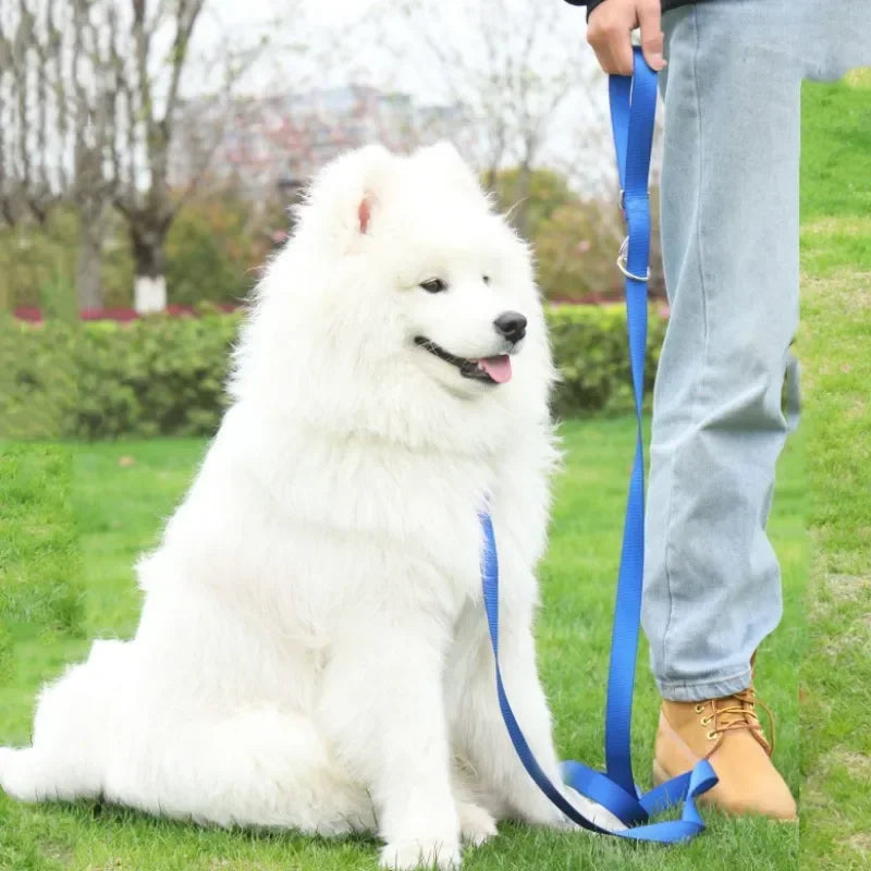 2.5cm Police-Style Training Nylon Hands-Free Dog Leash