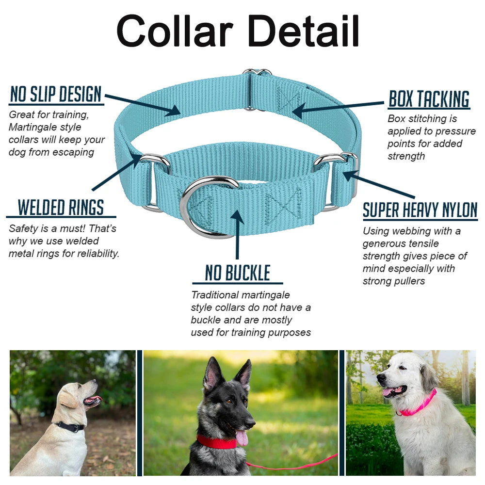 Adjustable Nylon Training Heavy-Duty Martingale Dog Collar
