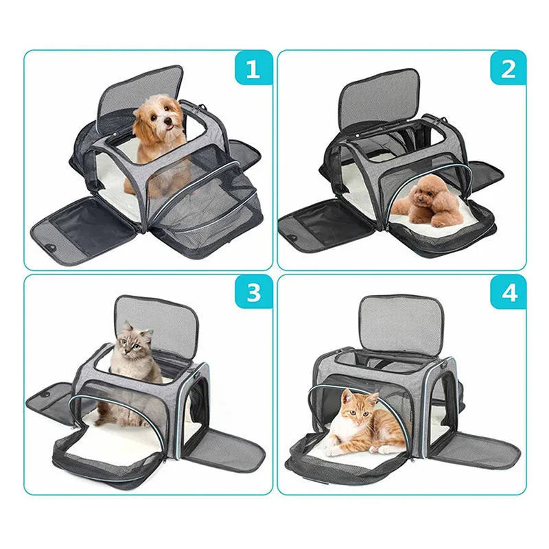 Portable Pet Carrier Backpack Breathable & Foldable for Cats & Dogs