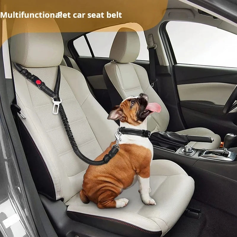 Multi-Functional Dog Leash with Car Safety Buckle