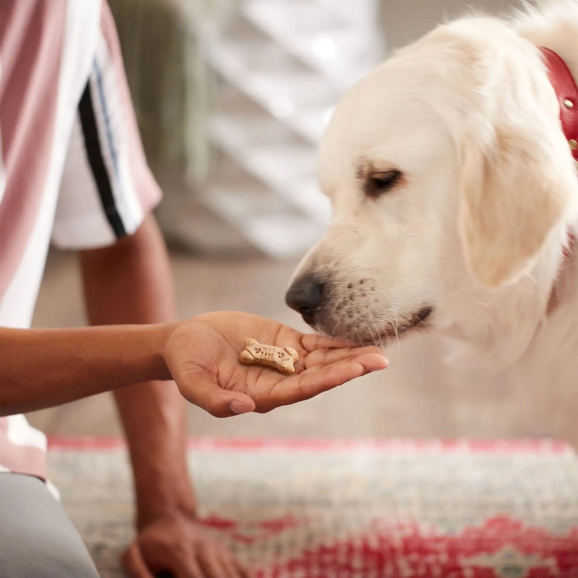 Dipped Dog Biscuits Baked With Real Peanut Butter, 32 oz
