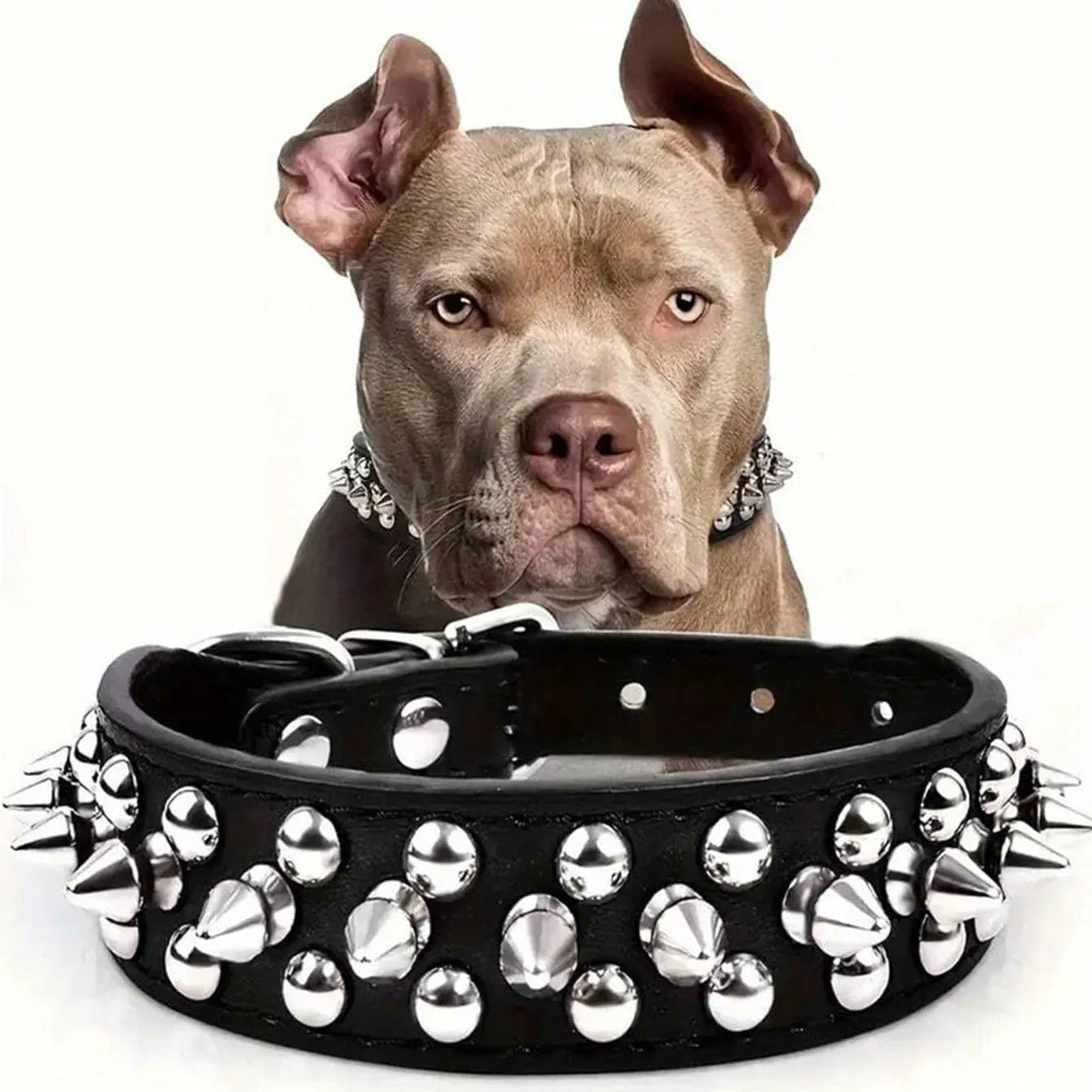 Adjustable PU Leather Rust-Resistant Rivet Dog Collar