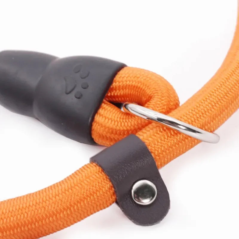 Heavy-Duty Nylon Slip Rope Adjustable P Chain Dog Collar