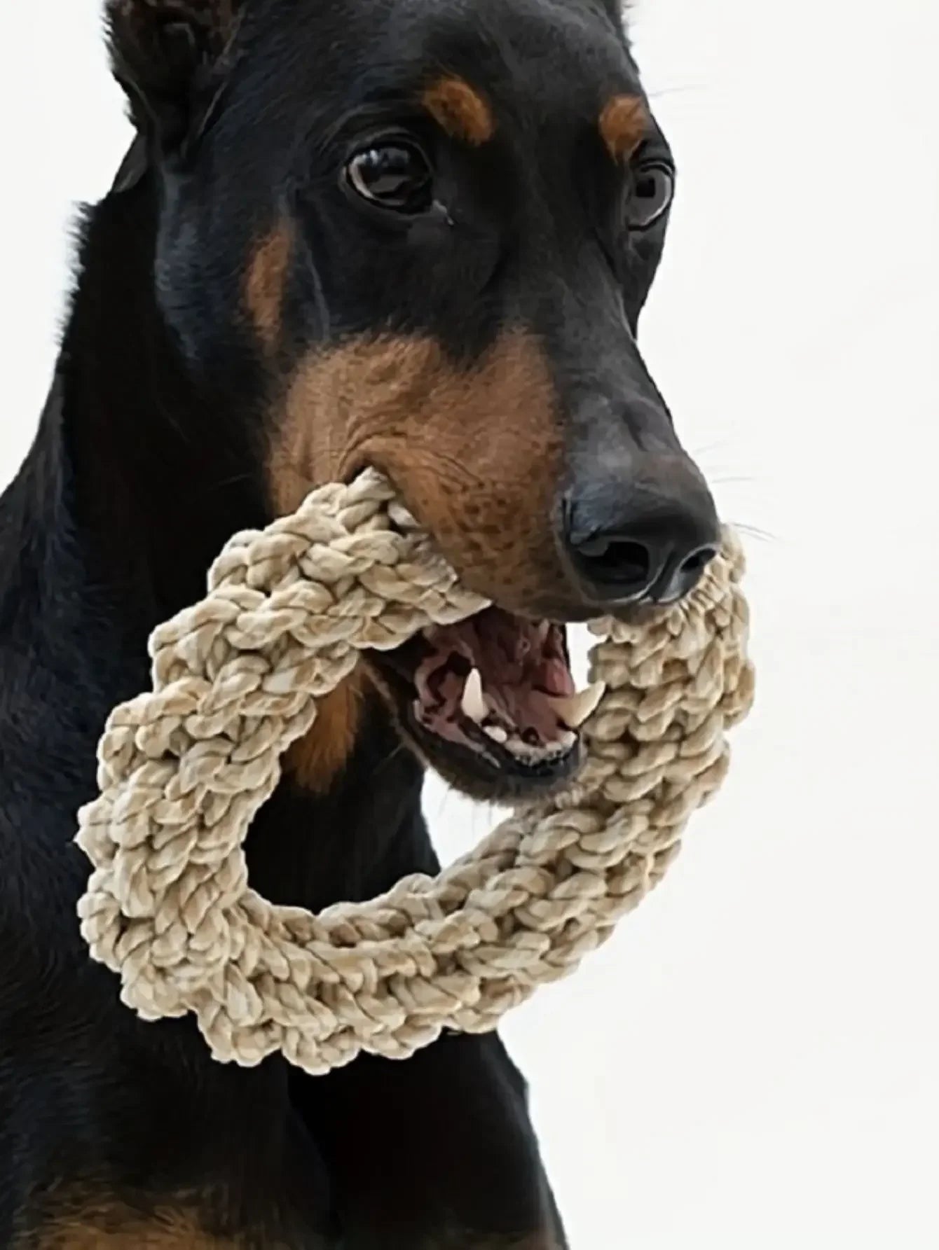 Durable Dog Rope Chew Toy Bite-Resistant for Medium & Large Breeds
