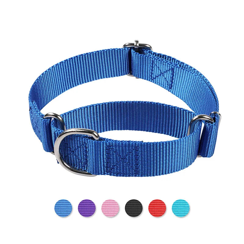 Adjustable Nylon Training Heavy-Duty Martingale Dog Collar